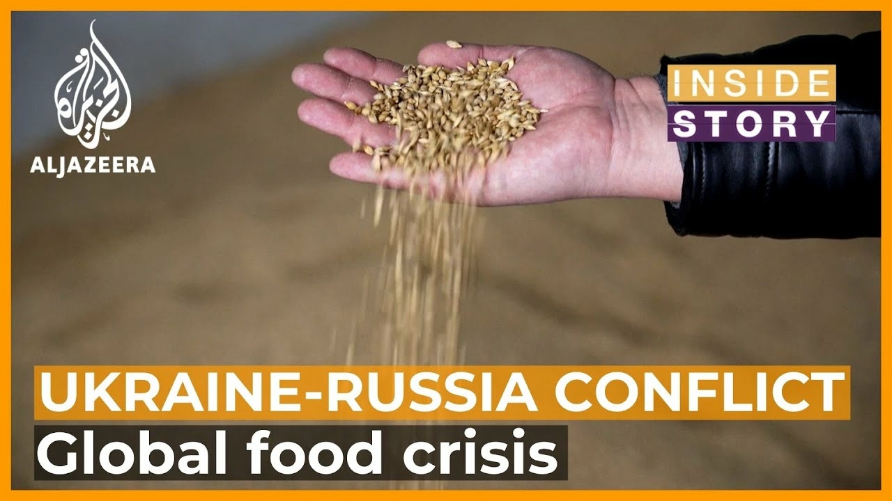 Supply Chain Current Time: Food Shortages and Harvest Problems Ukraine