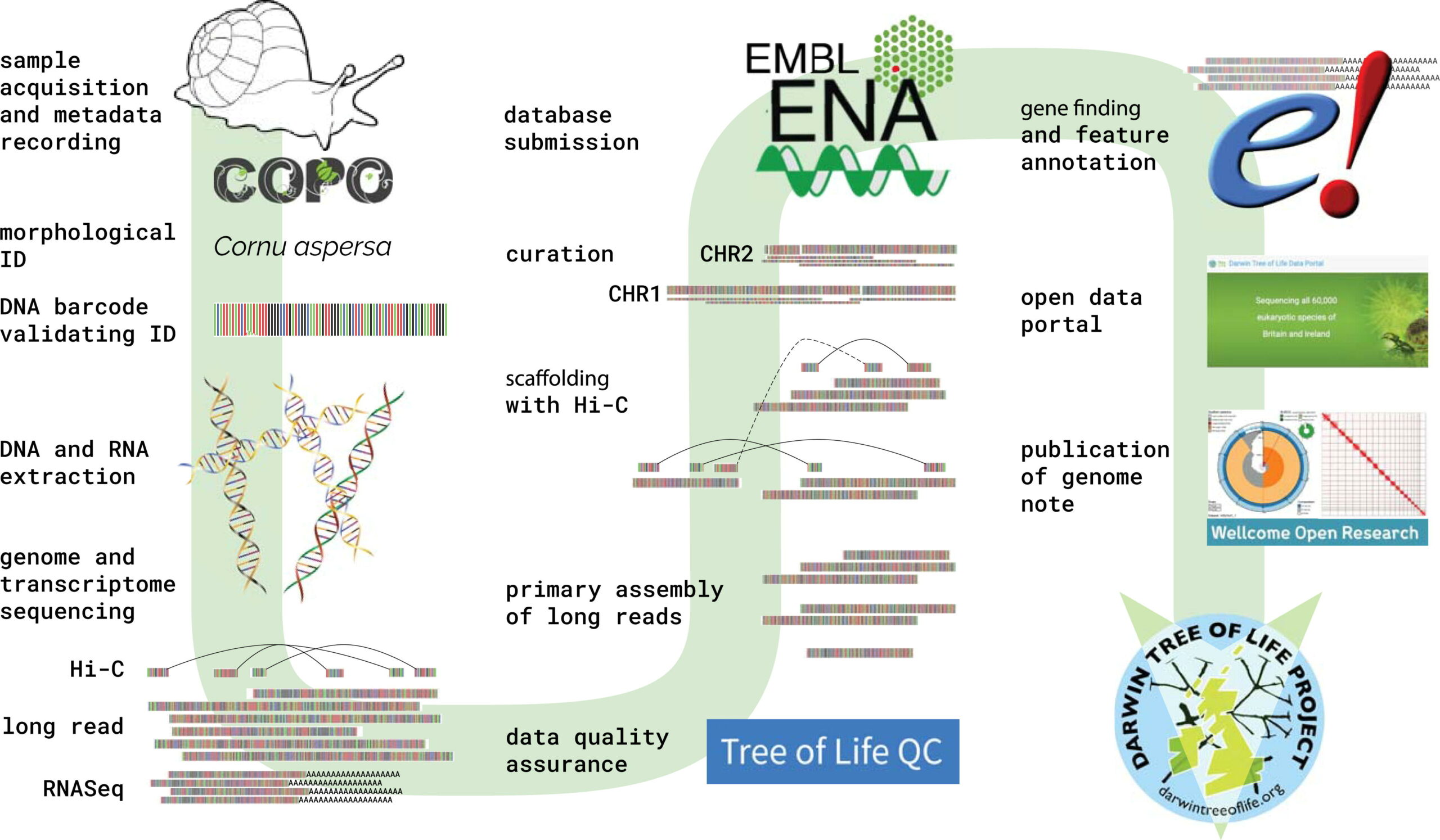 How RNA science will change our lives
