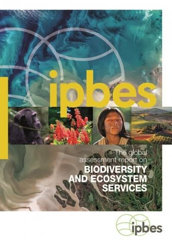 Ninth Session of the Intergovernmental Science Policy Platform on Biodiversity and Ecosystem Services (IPBES) approves the Thematic Assessment of the Sustainable Use of Wild Species - US Department of State
