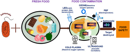 An oil-based system has shown promise for eliminating salmonella on food processing machinery
