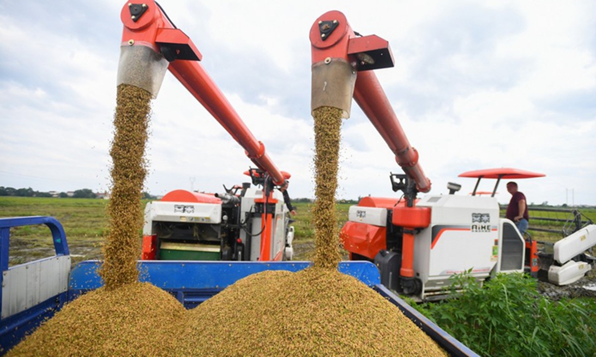 Big drop in global food prices for July, but worries about future supply remain