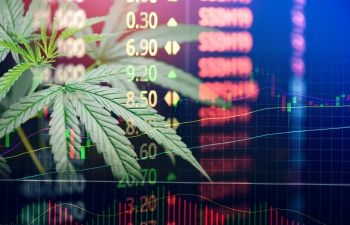 Weed rush: How Saline handles an influx of marijuana business offers